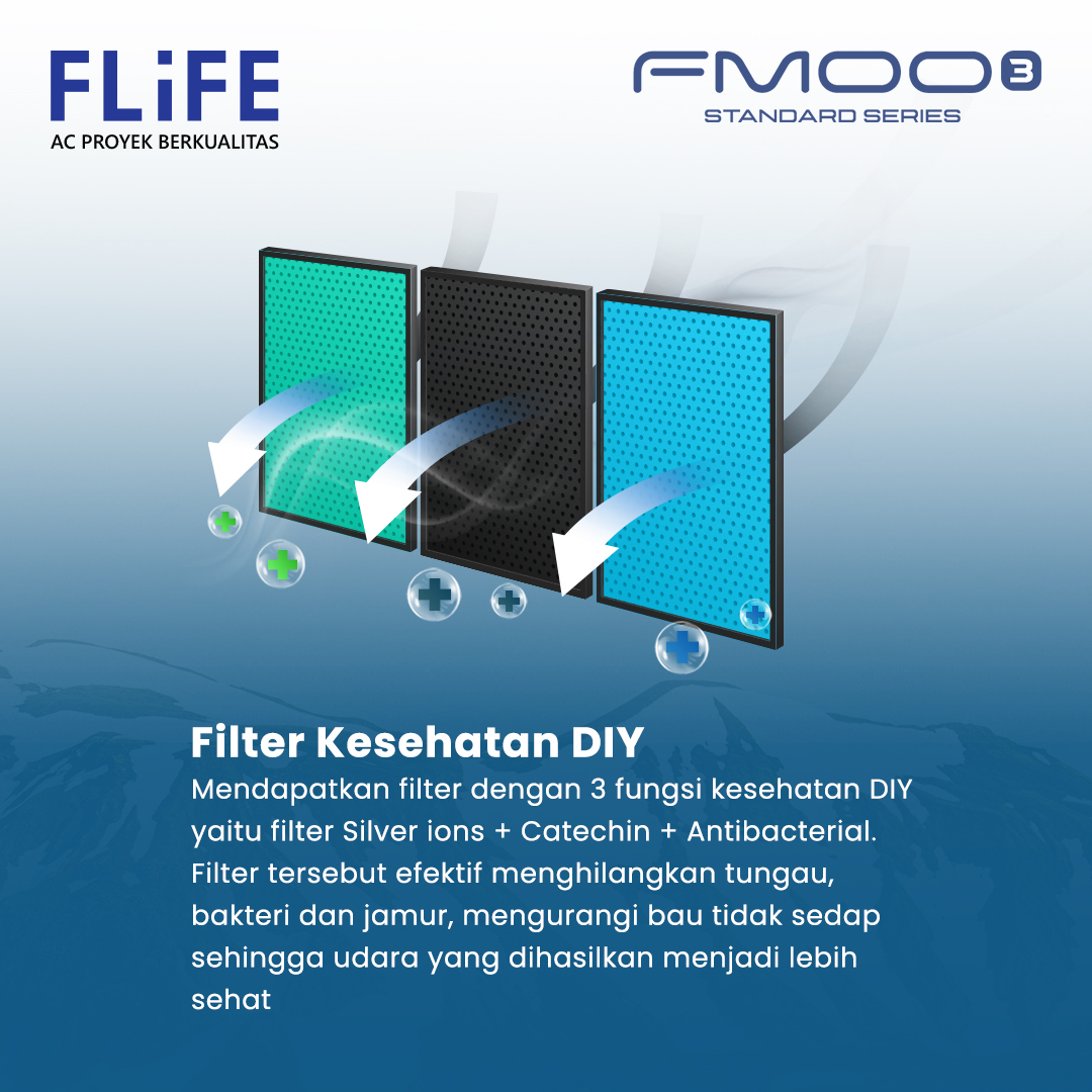 FLIFE by Gree AC Split FAC-18FMOO3 2 PK Standard